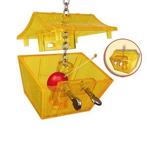 Versteck-Spielzeug-Parrots-Treasure