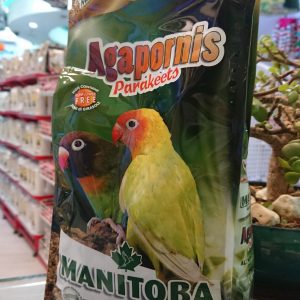 Manitoba Agapornis Parakeets 26051 Birdfood Parrot