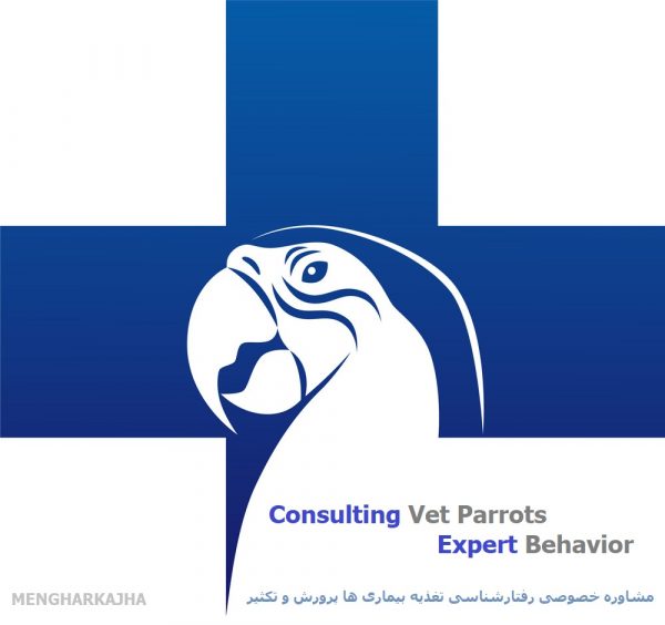 مشاوره تخصصی دامپزشکی پرندگان زینتی طوطی سانان