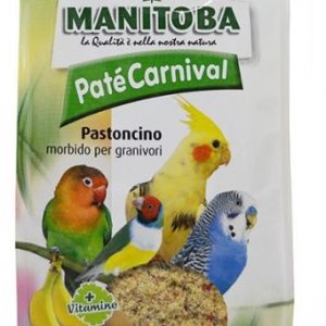 manitoba-pate-carnival