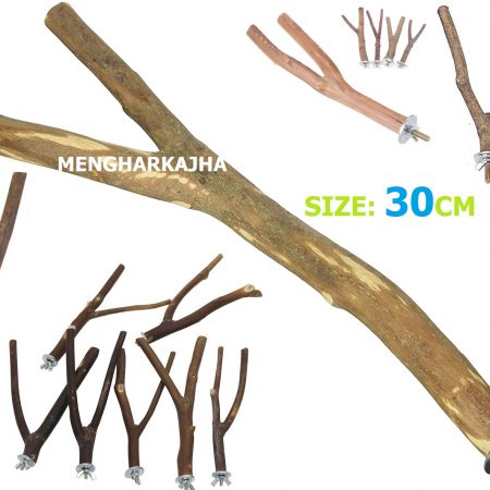 چوب نشیمن طوطی دوشاخه طبیعی