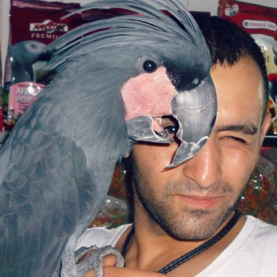 omid shayegan omid shayegan امید شایگان